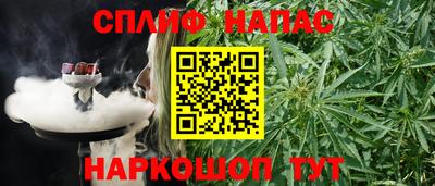 соль ск Камышлов